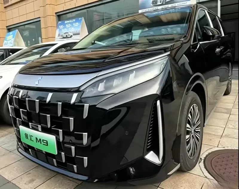 Phiên bản chạy dịch vụ với giá rẻ hơn của BYD M9 cập bến đại lý, chờ ngày bán ra - Ảnh 5.