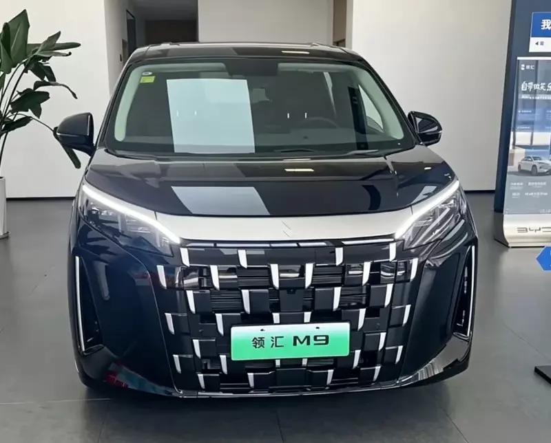 Phiên bản chạy dịch vụ với giá rẻ hơn của BYD M9 cập bến đại lý, chờ ngày bán ra - Ảnh 2.