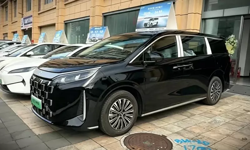 Phiên bản chạy dịch vụ với giá rẻ hơn của BYD M9 cập bến đại lý, chờ ngày bán ra - Ảnh 1.
