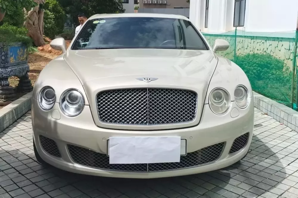 Tập đoàn Sơn Hải rao bán loạt xe sang mang thương hiệu Bentley, Lexus và BMW - Ảnh 2.